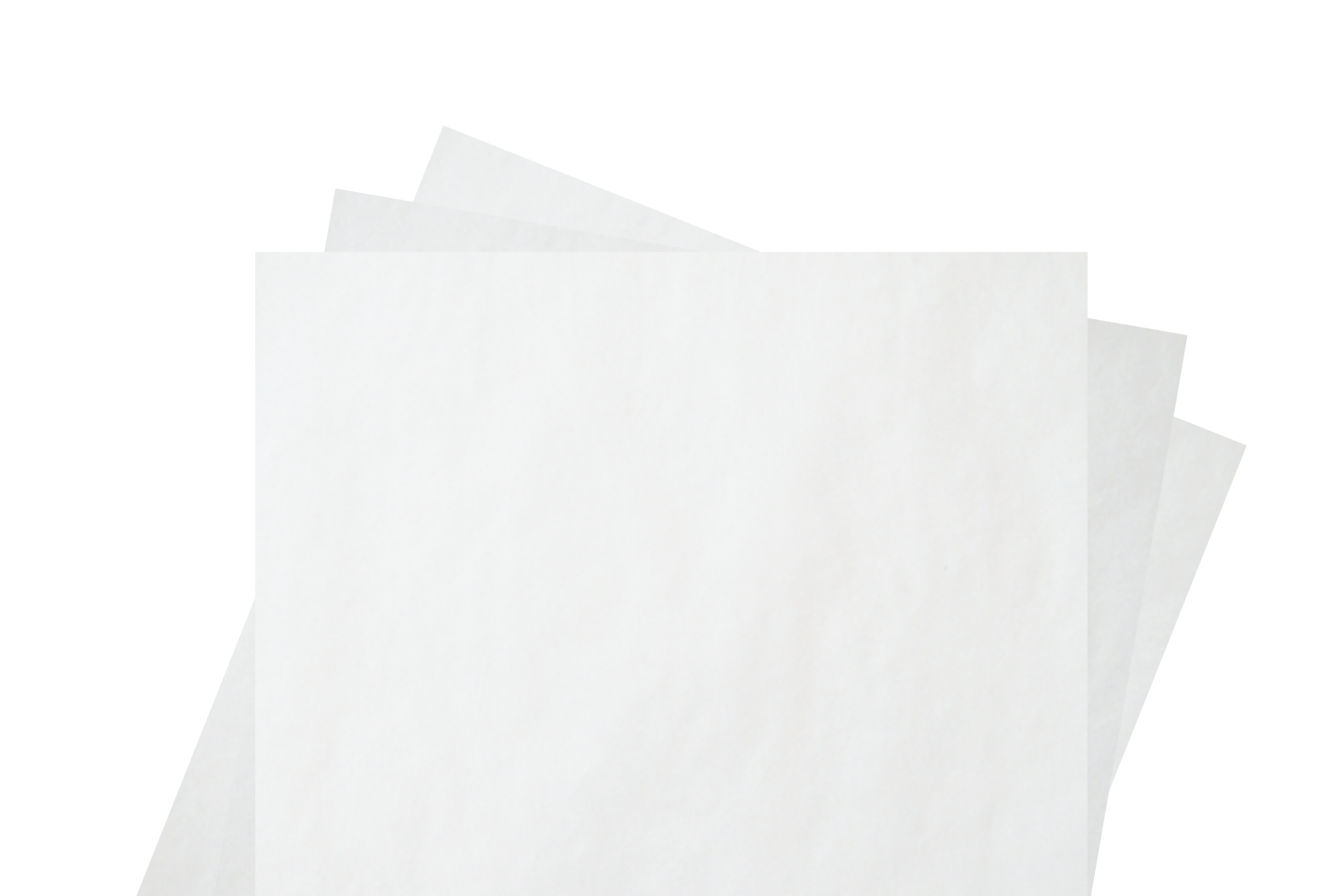 carta pergamino alimenti